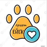 Приют Ейск Чат 💬