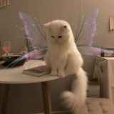 газета старых чувств.♡︎