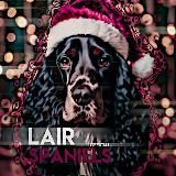 𝖈𝖗𝖊𝖊𝖕𝖊𝖗 𝖟𝖔𝖓𝖊 𝖔𝖋𝖋