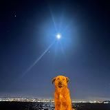 метеорит 2025