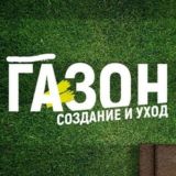 Газон Бассейн Ландшафтный дизайн