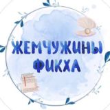 ЖЕМЧУЖИНЫ ФИКХА