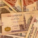 3000 جنيه حلال يوميا