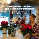 Alina in Gardenland/ Цветочная мастерская