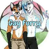 🐾Gay Furry🐾