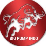 𝐁𝐈𝐆 𝐏𝐔𝐌𝐏 𝐈𝐍𝐃𝐎®