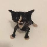 Валера постит хуйню. Внутренняя Хакасия