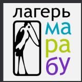 Умный лагерь Марабу