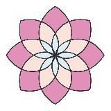 IZIFLO | Цветы Казань Доставка Цветов