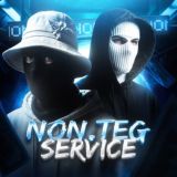 non.teg service