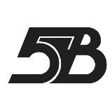 ПЯТАЯ ВЛАСТЬ