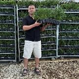 Хвойная Россия 🧑‍🌾🌲