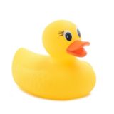 DuckDuckNo