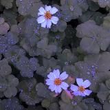 🦋Beautiful Life🦋🍀