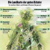 Eigenverantwortlich gesunden 🌿🙏💚 vom Objekt der Begierde weg in die Eigenverantwortung 🙏🌿💚