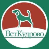 ВетКудрово