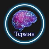 Термин 🧠