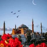 𝚈𝙾𝚄 𝙰𝚁𝙴 𝙼𝚈 𝙻𝙸𝙵𝙴¹