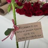 𝙼𝚊𝚛𝚝𝚊𝚗𝚡𝚘