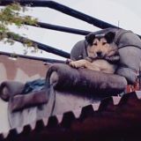 Культ Шёпота