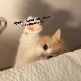 Привет, я Мэйбл 🦋