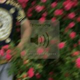 𝕏𝕆ℝ𝔸ℤ𝕄_ℤ𝔸𝕃𝕆𝕋𝕆𝕐𝕃𝔸ℝ𝕀