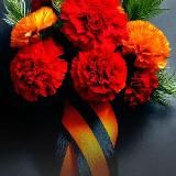 🇷🇺Новый Оскол - Чернянка онлайн "НОЧ online"🇷🇺