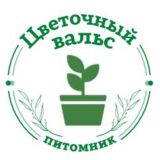 Питомник Цветочный Вальс чат