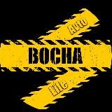 bocha_autolife