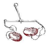 Москва | Альберт Сафин | Очный курс