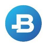 BItBay NEWS