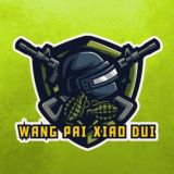 王牌小队|ETH & SOL & BSC