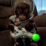 пикчи интернета