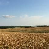 Байки уездного сада