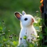 Межзвёздный скиталец✨