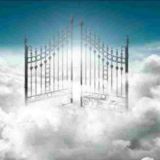 ƒяєιи∂ѕ ιи нєανєи💕💞