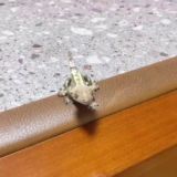 Нейронки и ИИ для чайников. Ссылки и руководство пользователя