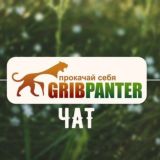 Gribpanter™ Чат