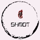 🔮Wildberries | SHMOT