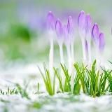 Психоэнергетические сессии. Твой расцвет 🌅🌹