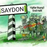 SAYDONLIKLAR