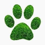 ЖИВАЯ ПЛАНЕТА 🦥