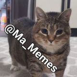 Мемная Группа 😹🤣 | MA