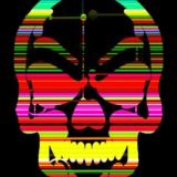 ALIM MONEY HACK TEAM ⚙️