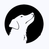 Псявый 🐶 любит сучек!