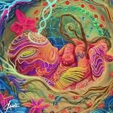 Bewusstwerdung - Wahrheitsfindung 🌺🌿🙏🏻♾🕉️👌🏼