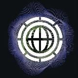 Coney | CRYPTO MONEY