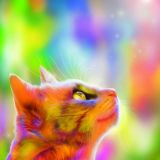 Мир прекрасен!