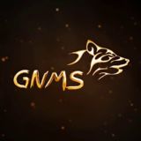 GNMS Editz 🪄 - ⁴ᴷ ᵂʰᵃᵗˢᵃᵖᵖ ˢᵗᵃᵗᵘˢ