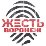 Жесть Воронеж